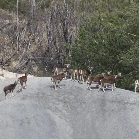 Apartman Silvae Prads-Haute-Bléone
